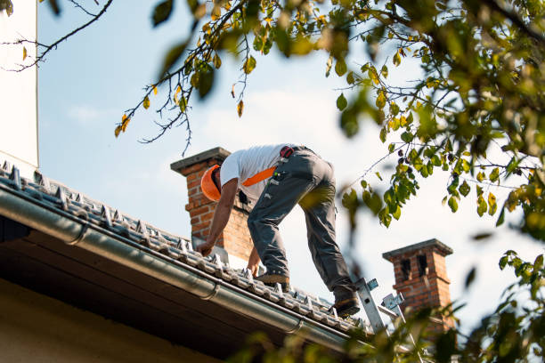 Best Roof Waterproofing Services  in Mshall, AR