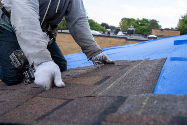 Best Roof Repair Services  in Mshall, AR