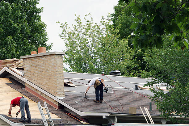 Best Roof Maintenance Services  in Mshall, AR